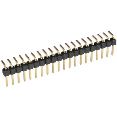 Eine Reihe von elektrisch leitenden Pins, die in einem schwarzen Kunststoffgehäuse angeordnet sind, vermutlich eine Stiftleiste.