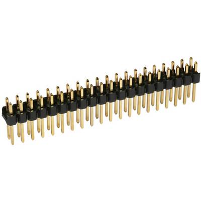 Steckverbinder mit zwei Reihen goldener Pins, in einem schwarzen Gehäuse, zur elektrischen Verbindung in elektronischen Geräten.