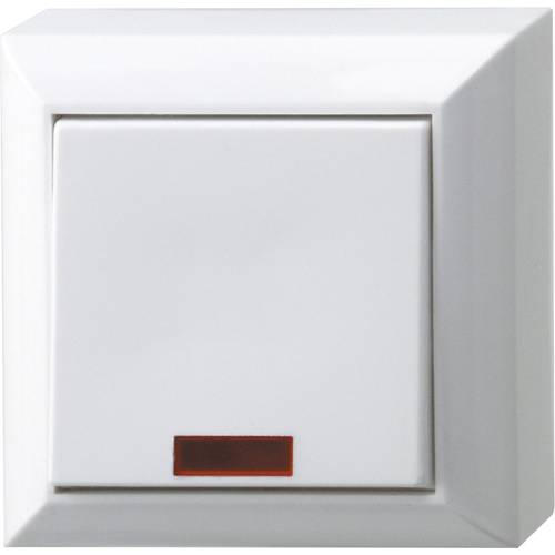 REV Kontrollschalter Weiß 0501482551 1 St.