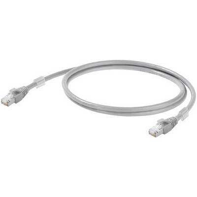 Graues Ethernet-Kabel mit RJ45-Steckern an beiden Enden.