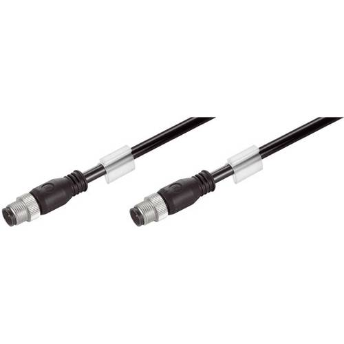 Weidmüller 2462530005 Sensor-/Aktor-Datensteckverbinder M12 Stecker, gerade, Flanschstecker 0.50 m 1 St.