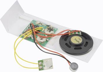 Conrad Components - Grusskarten-Soundmodul - Jetzt entdecken »