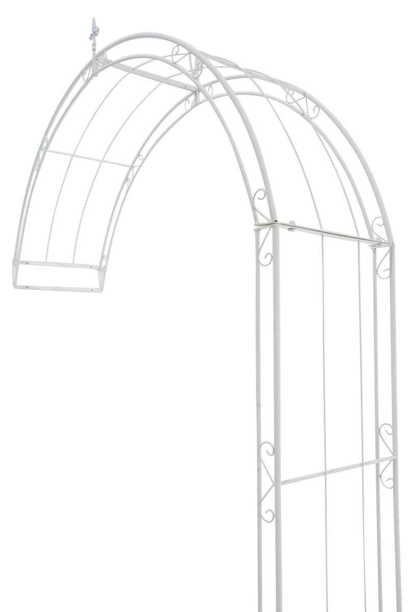 Rosenbogen Pietro 160x40x270 weiß-1