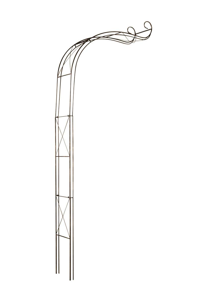 Rosenbogen Edoardo bronze-1