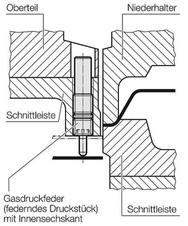 FIBRO 2479.041.00020.070 Gasdruckfeder (federndes Druckstück), mit Innensechskant
