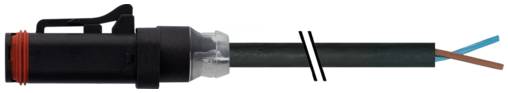 Murrelektronik 7072-72041-7540150, Valve plug, Outdoor Male straight-0