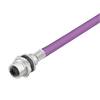 Weidmüller 1279480050 Sensor-/Aktor-Einbausteckverbinder M12 Buchse, Einbau Polzahl Sensoren: 2 1 St.