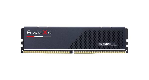 G.Skill Flare X5 F5-5600J3636C8GH1-FX5, 8 GB, 1 x 8 GB, DDR5, 288-pin DIMM