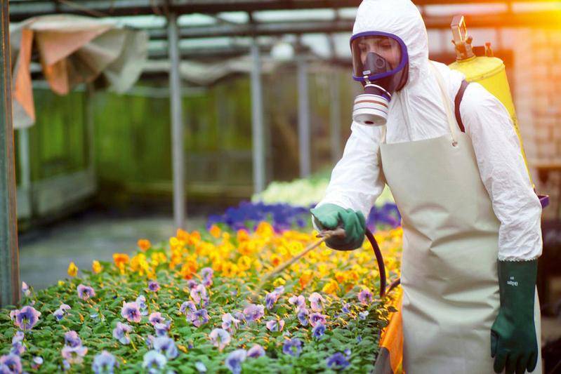 Dräger Vollmaske X-plore 6300 mit Standard-Rundgewinde RA-1