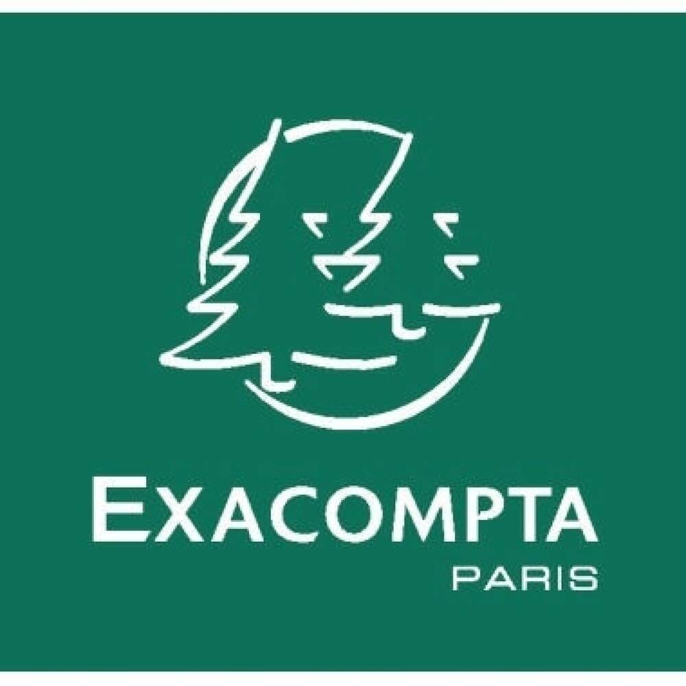 Exacompta Ordnungsmappe Harmonika 55125E DIN A4 12Fächer rot-2