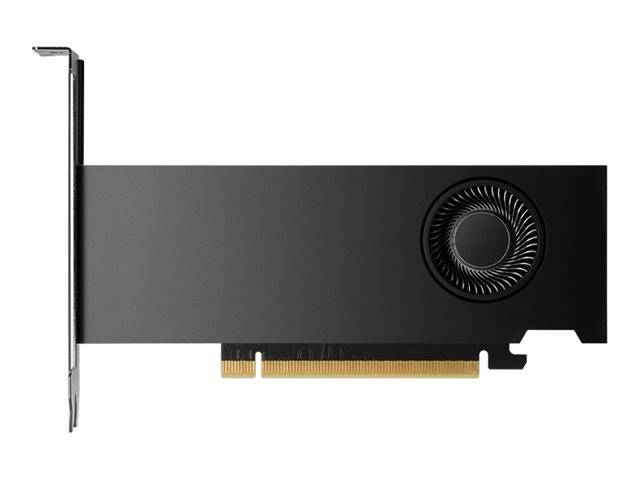 HP NVIDIA RTX PRO 2000 Blackwell - Grafikkarte-0