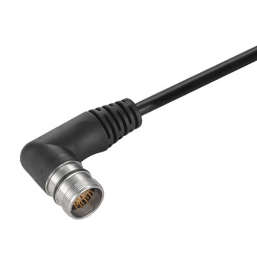Weidmüller 1906290500 Sensor-/Aktor-Steckverbinder, konfektioniert M12 Stecker, gewinkelt 5.00 m Polzahl Sensoren: 12 1 ...