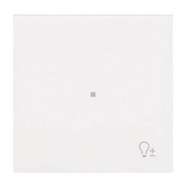 BJ Wippe 1-fach m.Symbol 6234-10-44G "Dimmer"