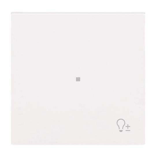 BJ Wippe 1-fach m.Symbol 6234-10-44G "Dimmer"-0