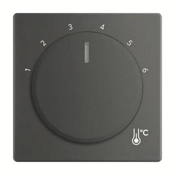 Busch-Jaeger Zentralscheibe 1794 R-885 Temperatur rund