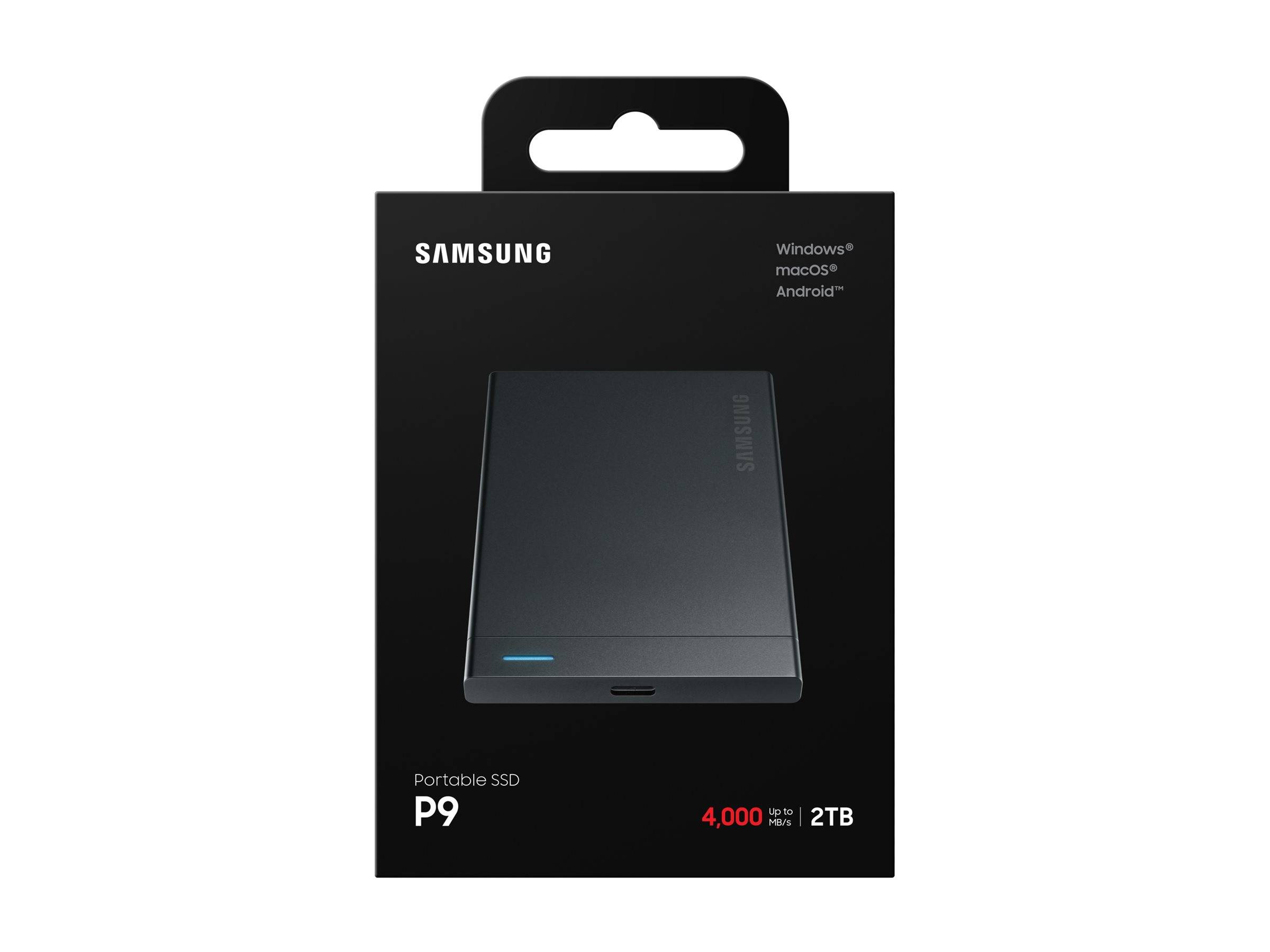 Samsung P9 Portable SSD External USB 4Gen 3x2 40Gbps - 3,91 GB-3
