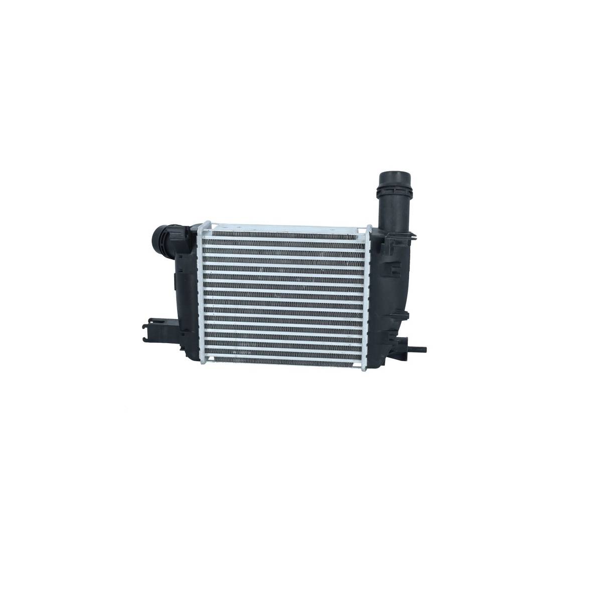 Ladeluftkühler Wärmetauscher-Prinzip 256 mm - 218 mm NRF für RENAULT CLIO-0