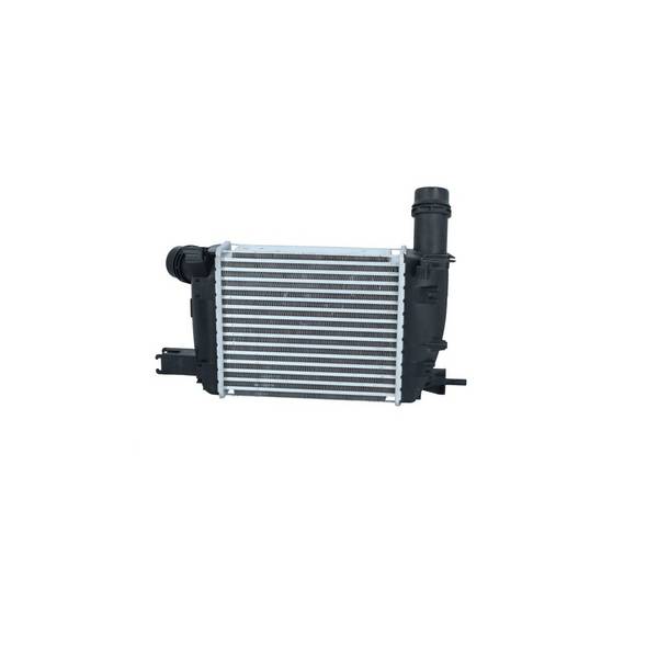 Ladeluftkühler Wärmetauscher-Prinzip 256 mm - 218 mm NRF für RENAULT CLIO