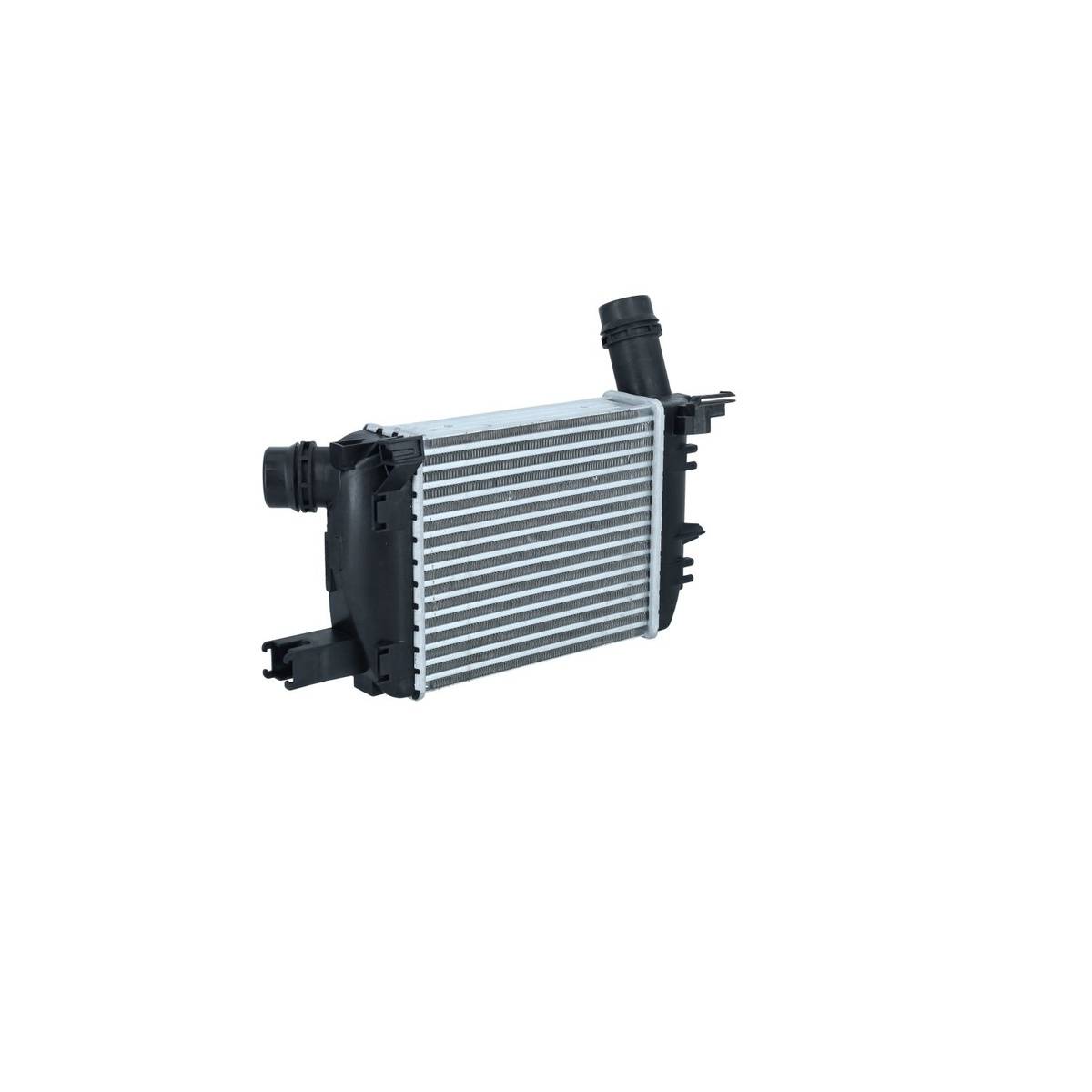 Ladeluftkühler Wärmetauscher-Prinzip 256 mm - 218 mm NRF für RENAULT CLIO-4