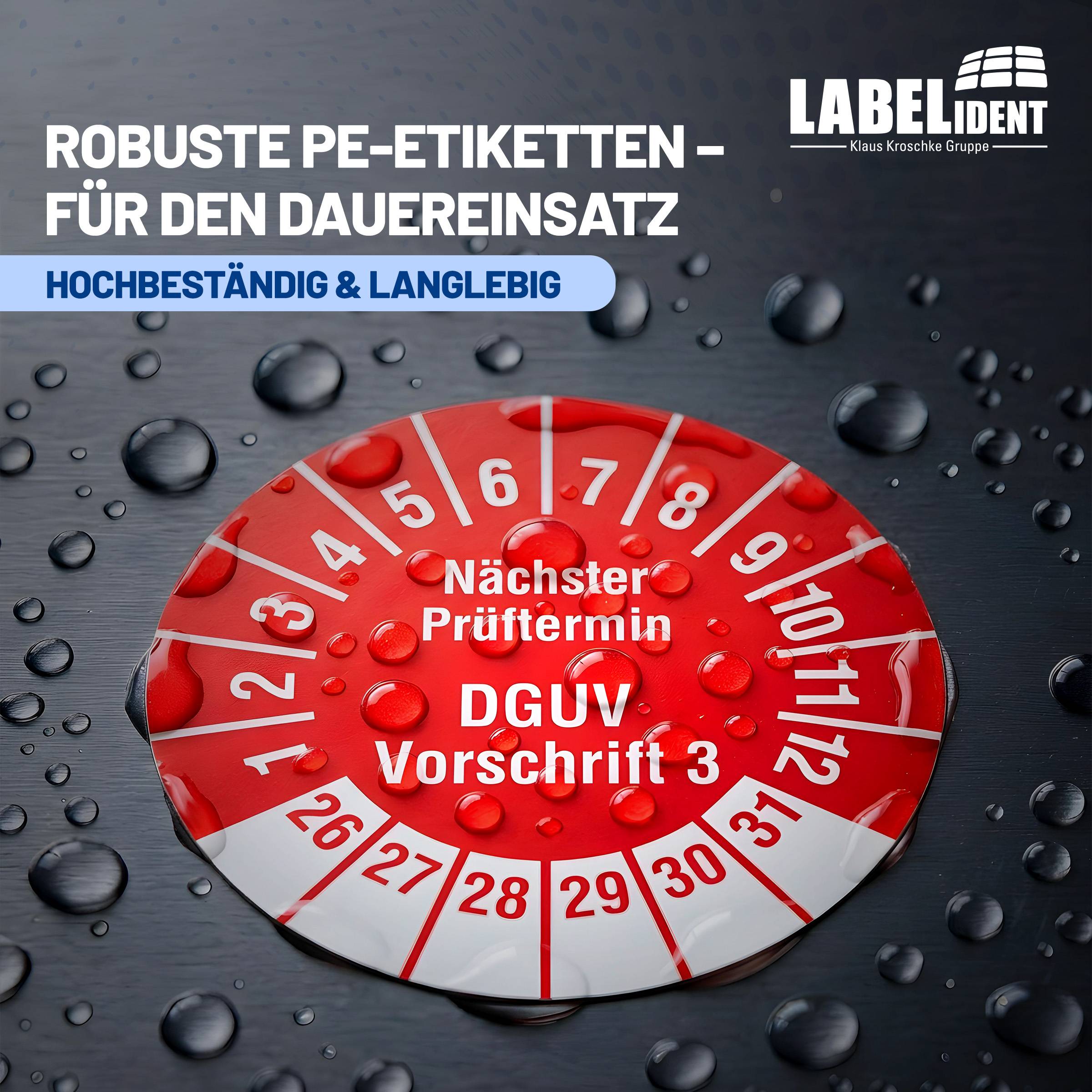 Labelident Prüfplaketten Nächster Prüftermin DGUV V3, Ø 20 mm, 1.000 Etiketten-1