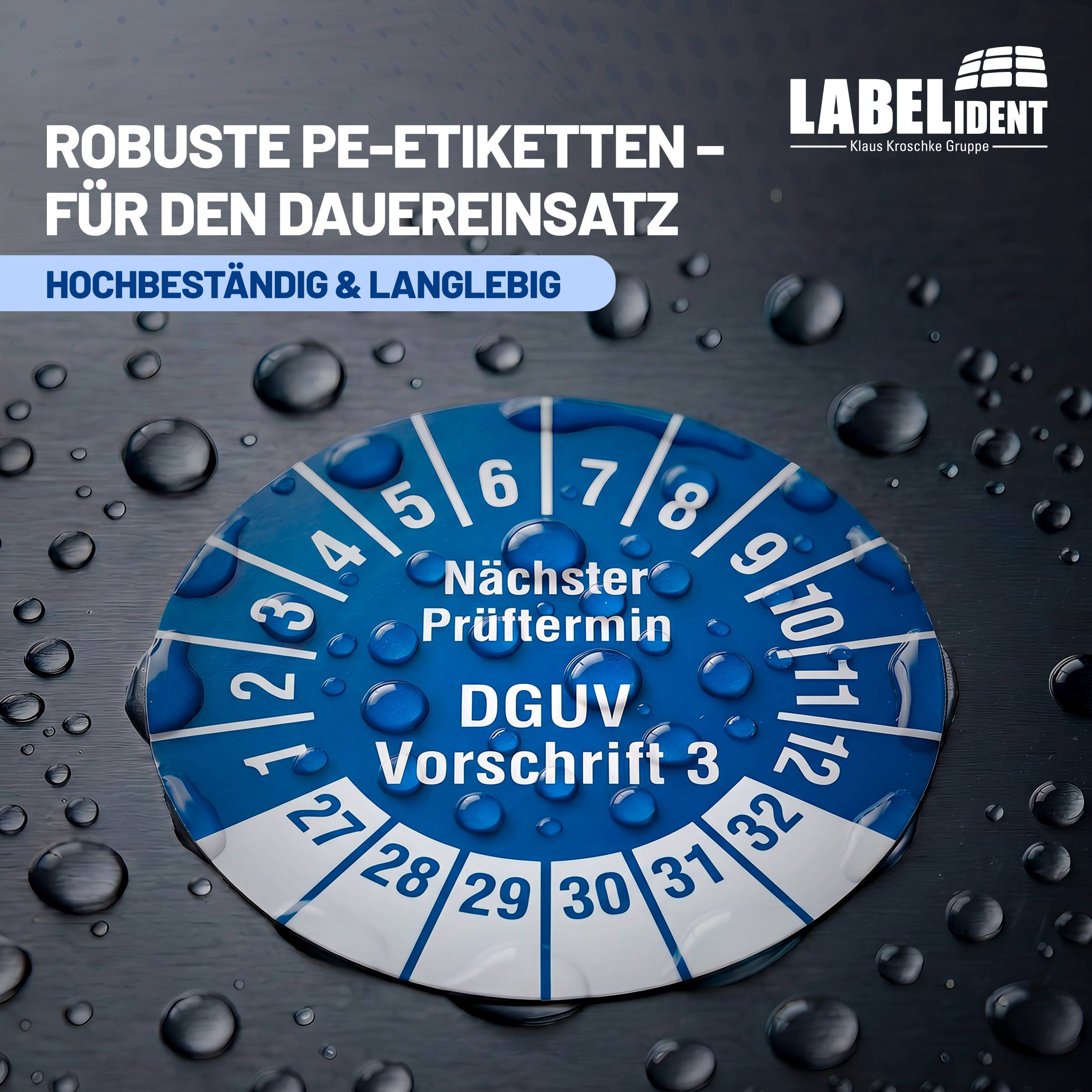 Labelident Prüfplaketten Nächster Prüftermin DGUV V3, Ø 30 mm, 1.000 Etiketten-1