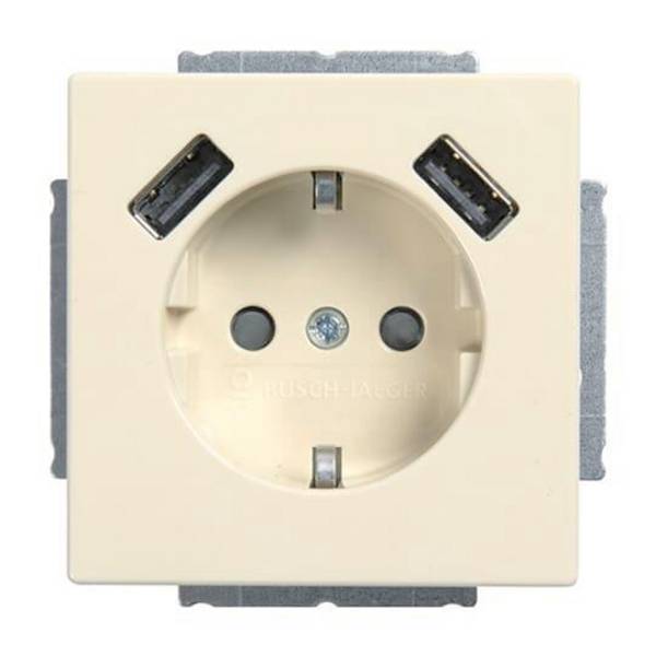 BUSCH JAEGER 20 EUCB2USB-82 SCHUKO-2x USB Steckdose - Zum Anschließen von elektr