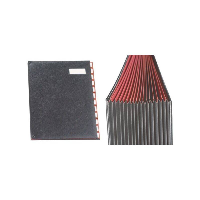 extendos Pultordner Serie 97, 25 Fächer, mit Taben-0