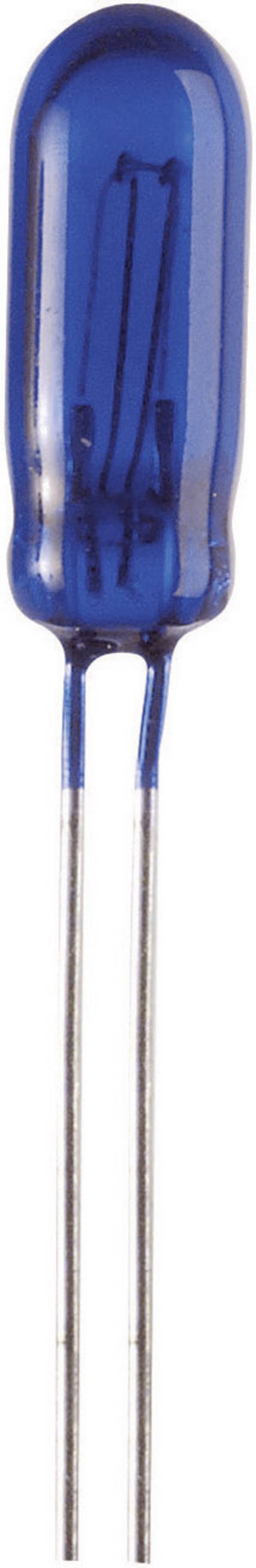 Barthelme 2110163B Spezialglühlampe  Blau  16 V 30 mA 1 Set