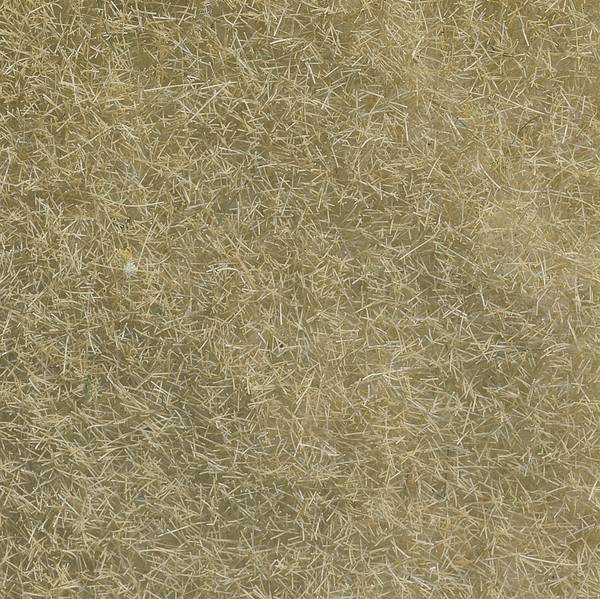 NOCH 07101 Wildgras  Beige
