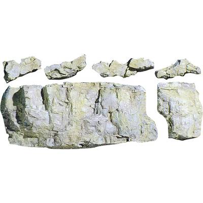 Mehrere Ansichten eines fossilen Kieferknochens mit erhaltener Struktur und Textur, auf weißem Hintergrund.