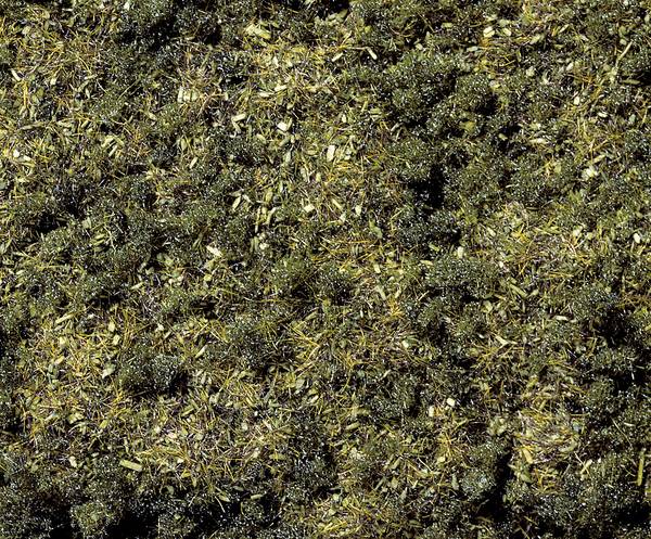 NOCH 8350 Streugras Waldboden Dunkelgrün