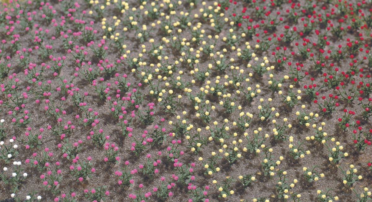 Bunte Blumen in Feldern geometrisch angeordnet: Rosa, Gelb und Rot. Erde sichtbar, welliges Muster. Frühlingshafte Atmosphäre.