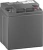 Panasonic Longlife LC-P1224APG Bleiakku 12 V 24 Ah Blei-Vlies (AGM) (B x H x T) 165 x 175 x 125 mm M5-Schraubanschluss VDS-Zertifizierung, Wartungsfrei, Geringe Selbstentladung