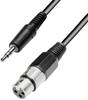 Paccs XLR Adapterkabel [1x XLR-Buchse - 1x Klinkenstecker 3.5 mm] 3.00 m Schwarz
