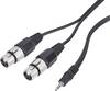 Paccs XLR Adapterkabel [2x XLR-Buchse - 1x Klinkenstecker 3.5 mm] 3.00 m Schwarz