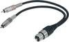 Paccs XLR Adapterkabel [2x Cinch-Stecker - 1x XLR-Buchse] 0.60 m Schwarz