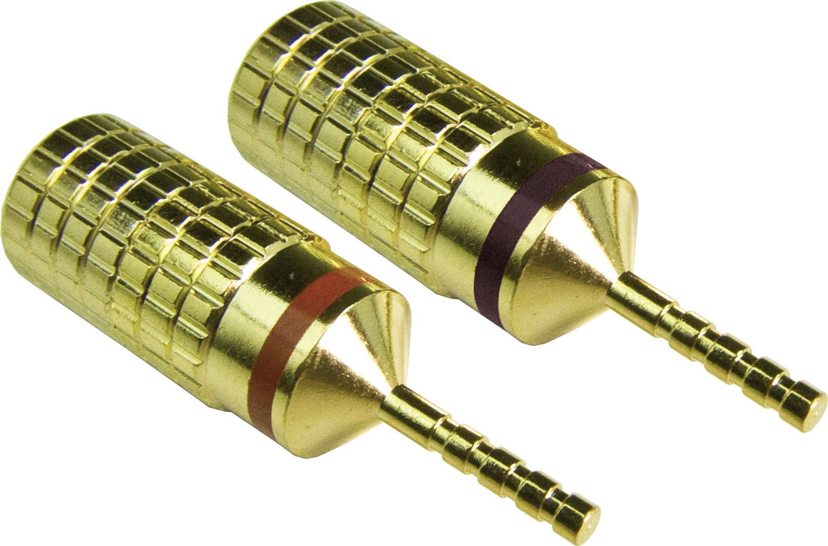 NONAME t-101/4S Lautsprecher-Steckverbinder Stecker, gerade Polzahl: 1 Gold 2 St.