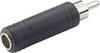 Paccs Audio Adapter [1x Cinch-Stecker - 1x Klinkenbuchse 6.35 mm] Schwarz