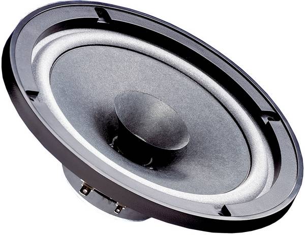Visaton FR 6,5" - 8 Ohm 6.5 Zoll 16.51 cm Breitbänder 40 W 8 Ω