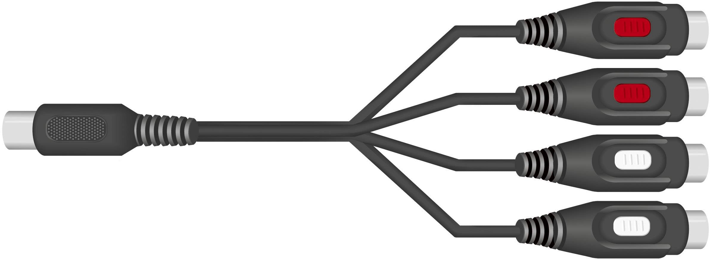 Ein schwarzes Audiokabel teilt sich in vier Buchsen, zwei mit roten Markierungen und zwei mit weißen, für Multimedia-Anschlüsse.