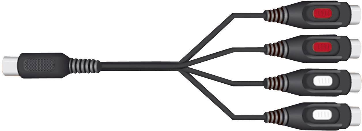 'Video-Audio-Kabel: Ein Stecker teilt sich in vier gefärbte RCA-Stecker auf, gekennzeichnet mit rot, weiß, gelb und schwarz.'