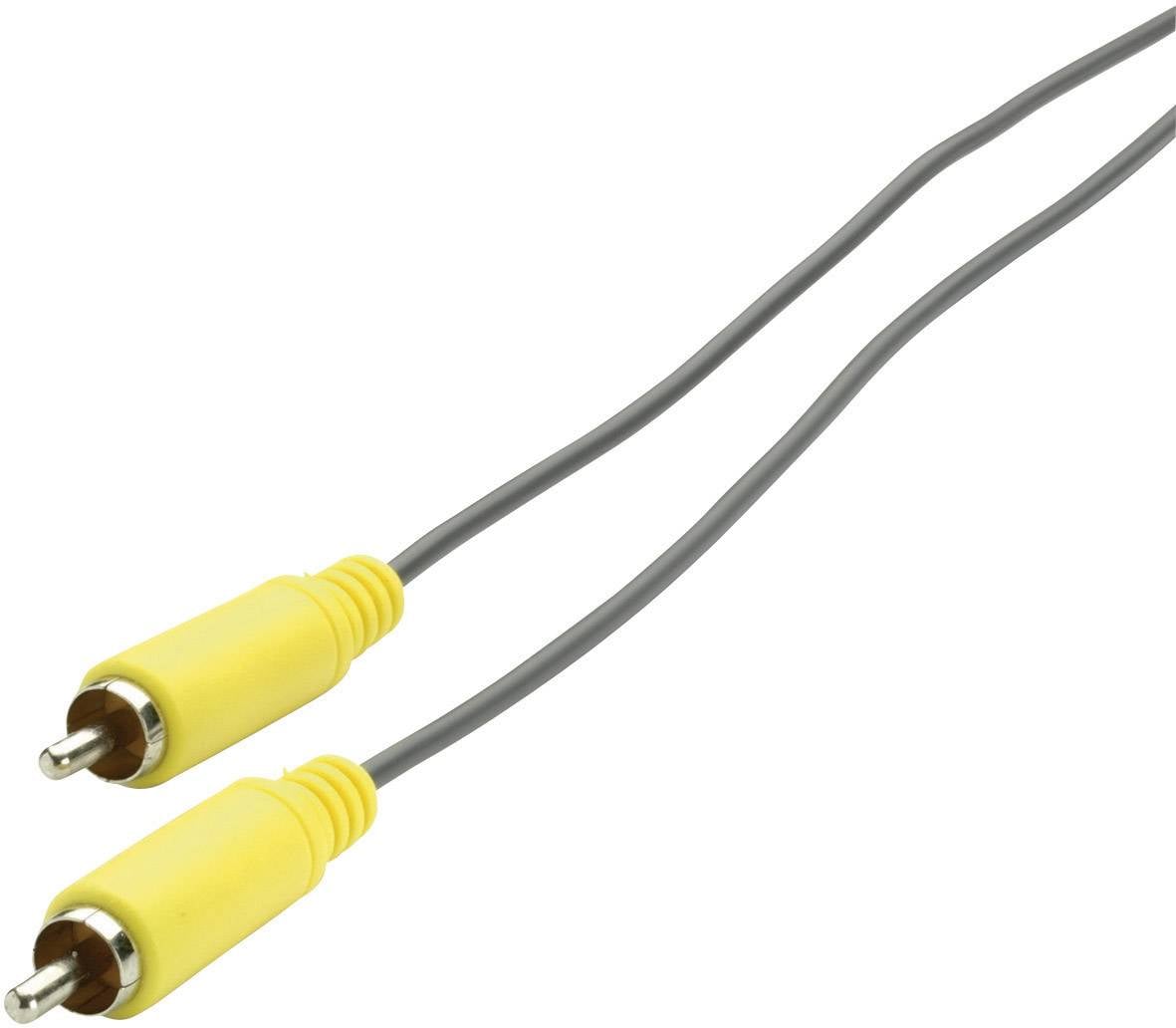 SpeaKa Professional SP-1300788 Cinch-Digital Digital-Audio Anschlusskabel [1x Cinch-Stecker - 1x Cinch-Stecker] 3.00 m G
