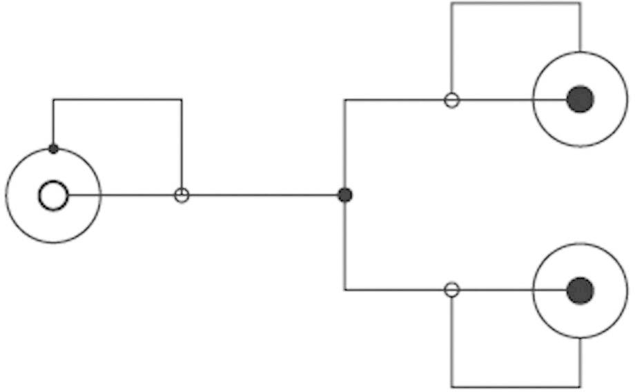 Elektrischer Schaltplan mit zwei miteinander verbundenen Kreisen und Schaltern, die Flusswege und Komponenten zeigen.