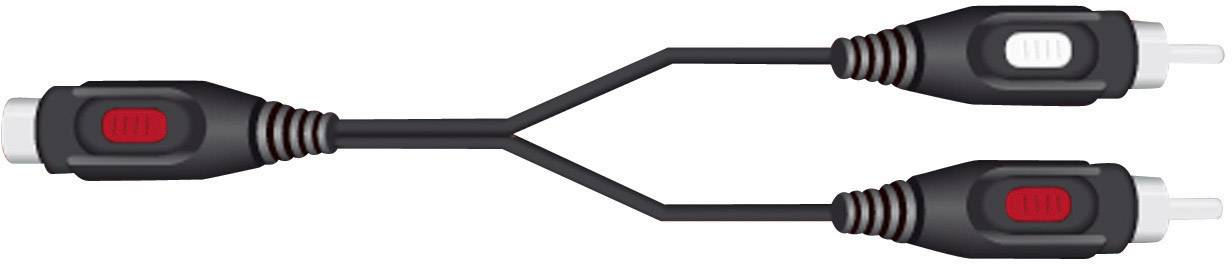 Ein Y-Adapterkabel mit einem weiblichen Cinch-Stecker auf der linken Seite, das sich in zwei männliche Cinch-Stecker auf der rechten Seite teilt.