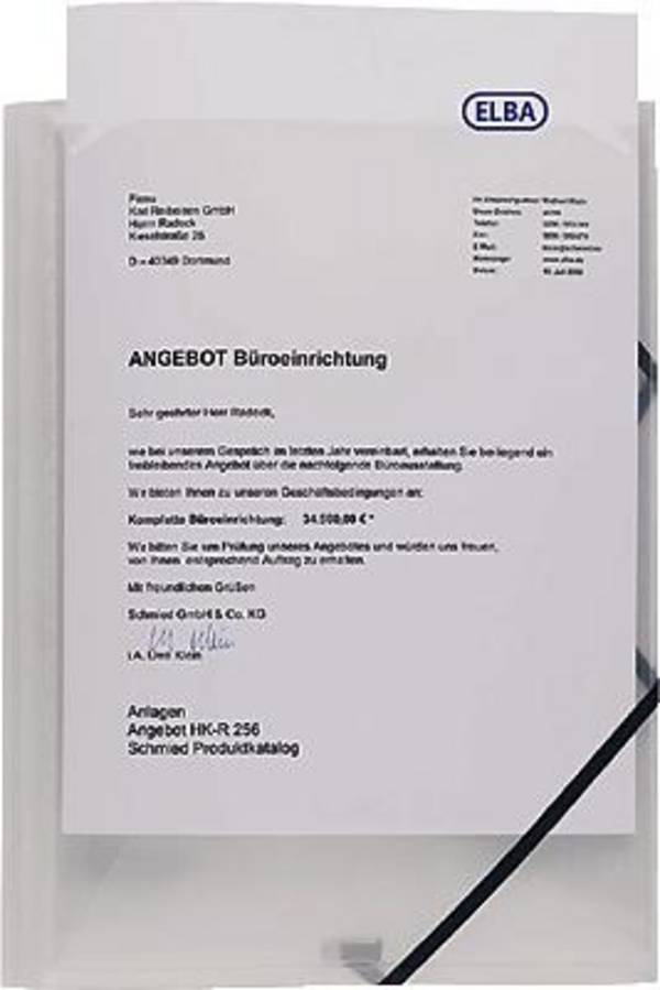 ELBA Eckspannermappe POLYVISION, mit DIN A4-Sichttasche (61480034)