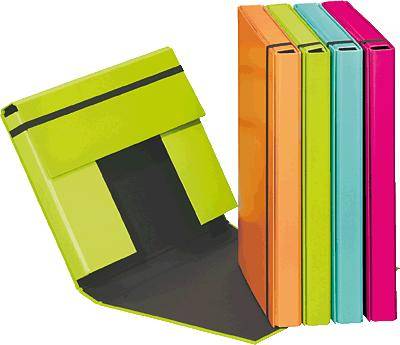 PAGNA Heftbox "Trend Colours", DIN A4, dunkelrosa-0