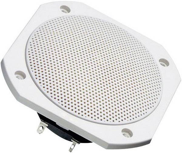 Visaton FRS 10 WP - 4 Ohm 4 Zoll 10 cm Breitbänder 25 W 4 Ω Weiß Saunalautsprecher, Einbaulautsprecher, Seewasserbeständig