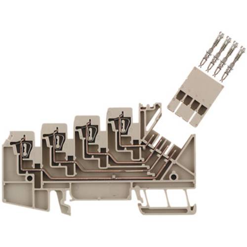 Thumbnail - Weidmüller 1698160000 Rangierverteiler Beige 50 St.