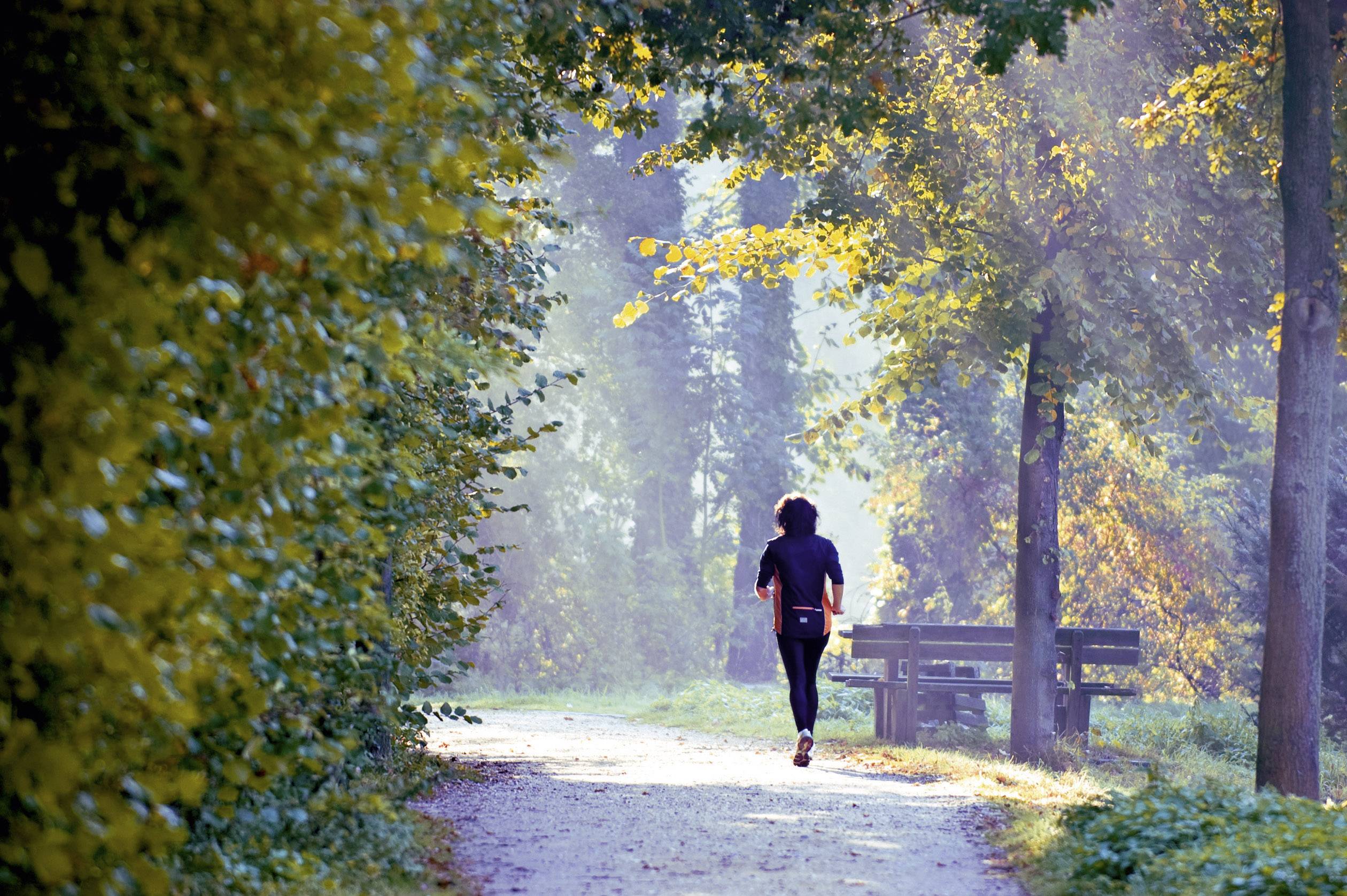 Eine Person joggt auf einem Waldweg, umgeben von Herbstbäumen und leichtem Nebel. Links dichte Vegetation, rechts eine Bank.
