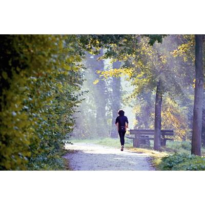 Eine Person joggt auf einem Waldweg, umgeben von Herbstbäumen und leichtem Nebel. Links dichte Vegetation, rechts eine Bank.